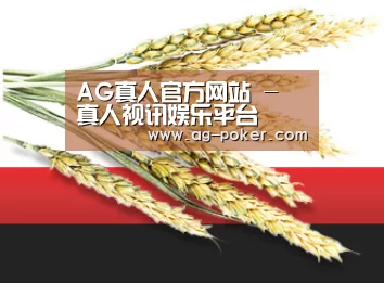 AG真人官方网站 - 真人视讯娱乐平台