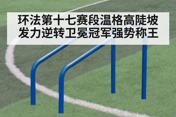 环法第十七赛段温格高陡坡发力逆转卫冕冠军强势称王