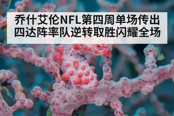 乔什艾伦NFL第四周单场传出四达阵率队逆转取胜闪耀全场